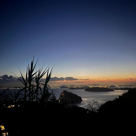 Barracudasuite Ischia Eksteriør bilde