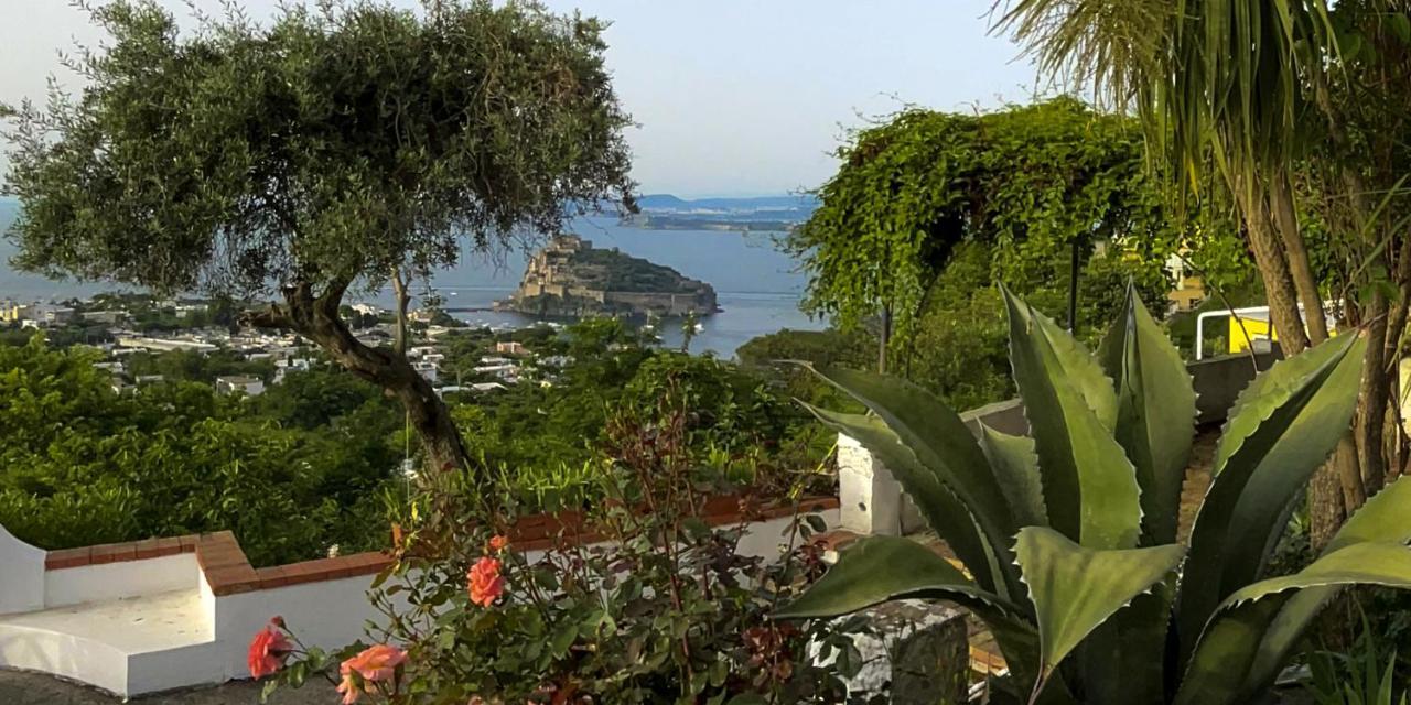 Barracudasuite Ischia Eksteriør bilde
