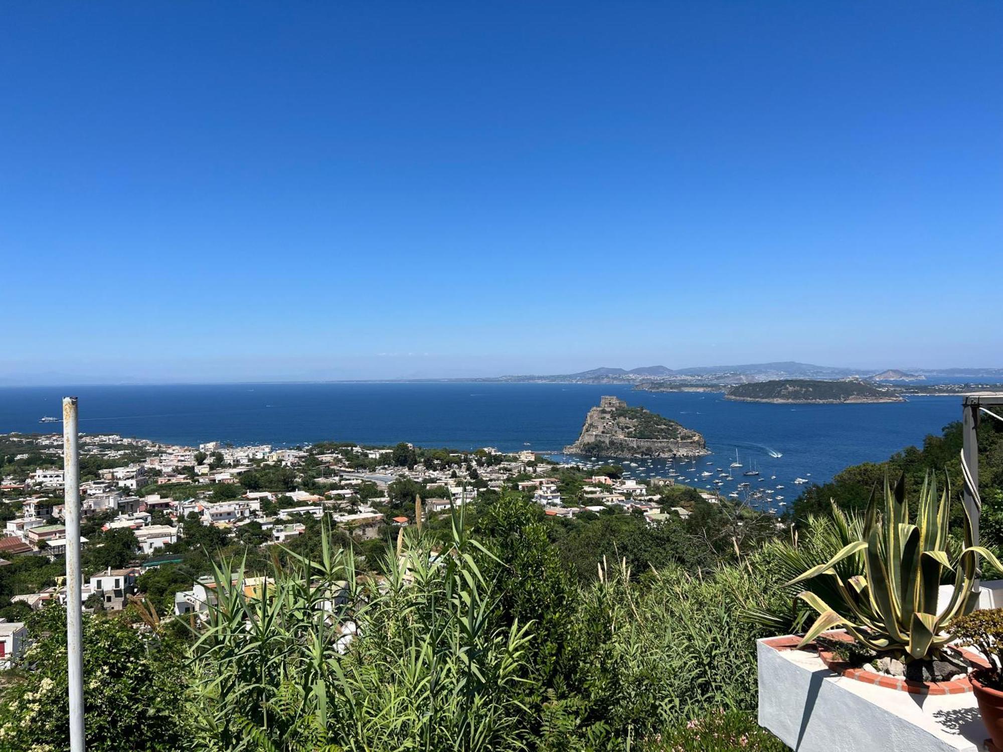 Barracudasuite Ischia Eksteriør bilde